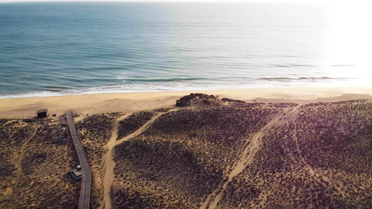 해가 지기 전 에 바다 와 해변  에 있는 식물 들 의 공중 사진