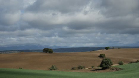 una toma relajante y pacífica de un campo arado y otra sección con hierba verde a través de la cual pasan las sombras de las nubes