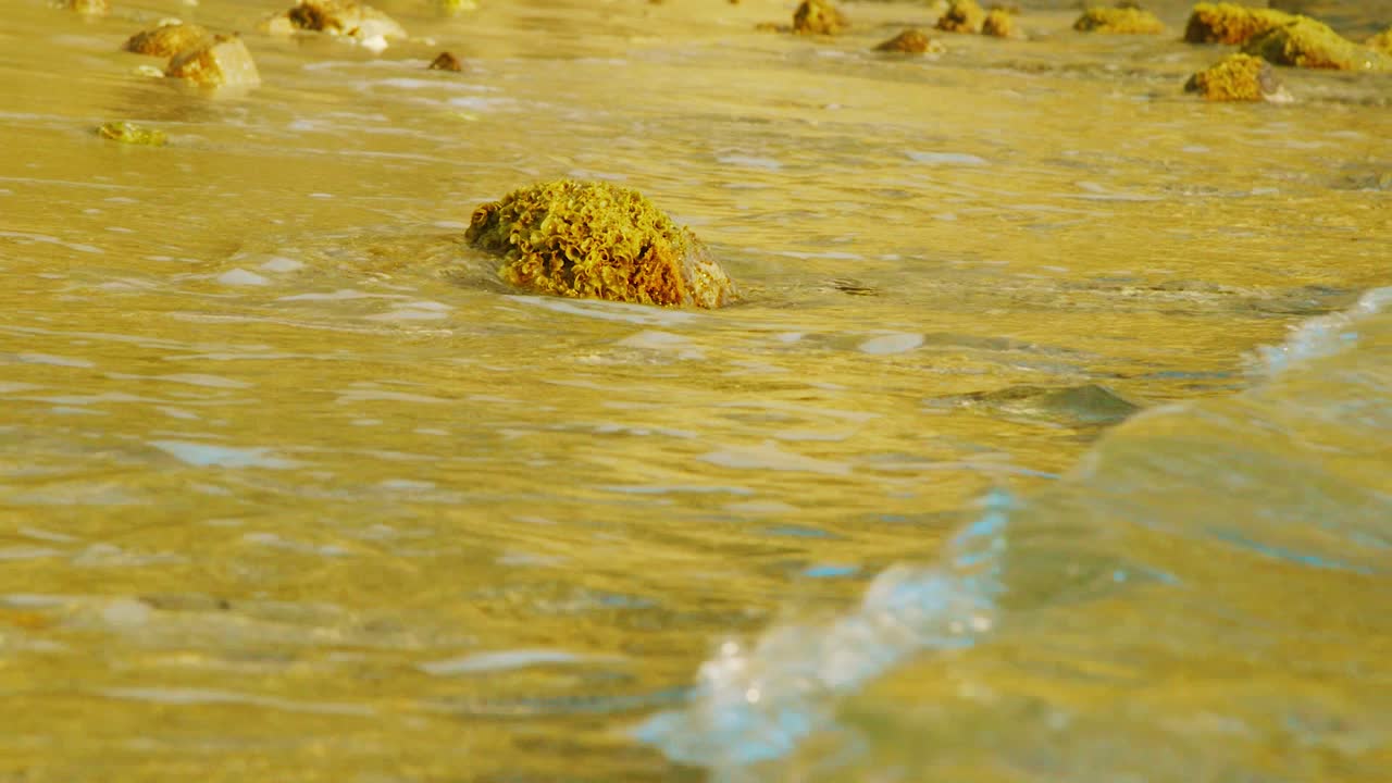 쿠라카오의 윌렘스타드 (willemstad) 의 모래 해변에서 바위 위에 부히고 굴러가는 파도