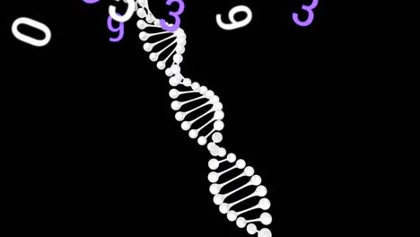 animación de números flotantes sobre la cepa de adn sobre un fondo negro