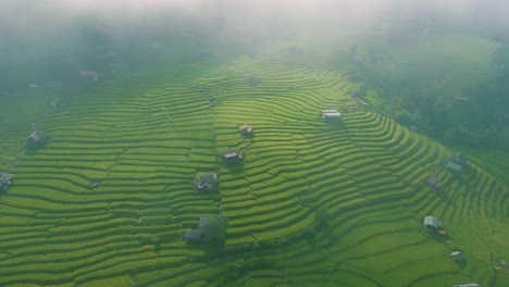4k naturaleza cinematográfica imágenes aéreas de drones de las hermosas montañas y campos de arroz de ban pa pong piang en doi ithanon junto a chiang mai, tailandia en un día nublado
