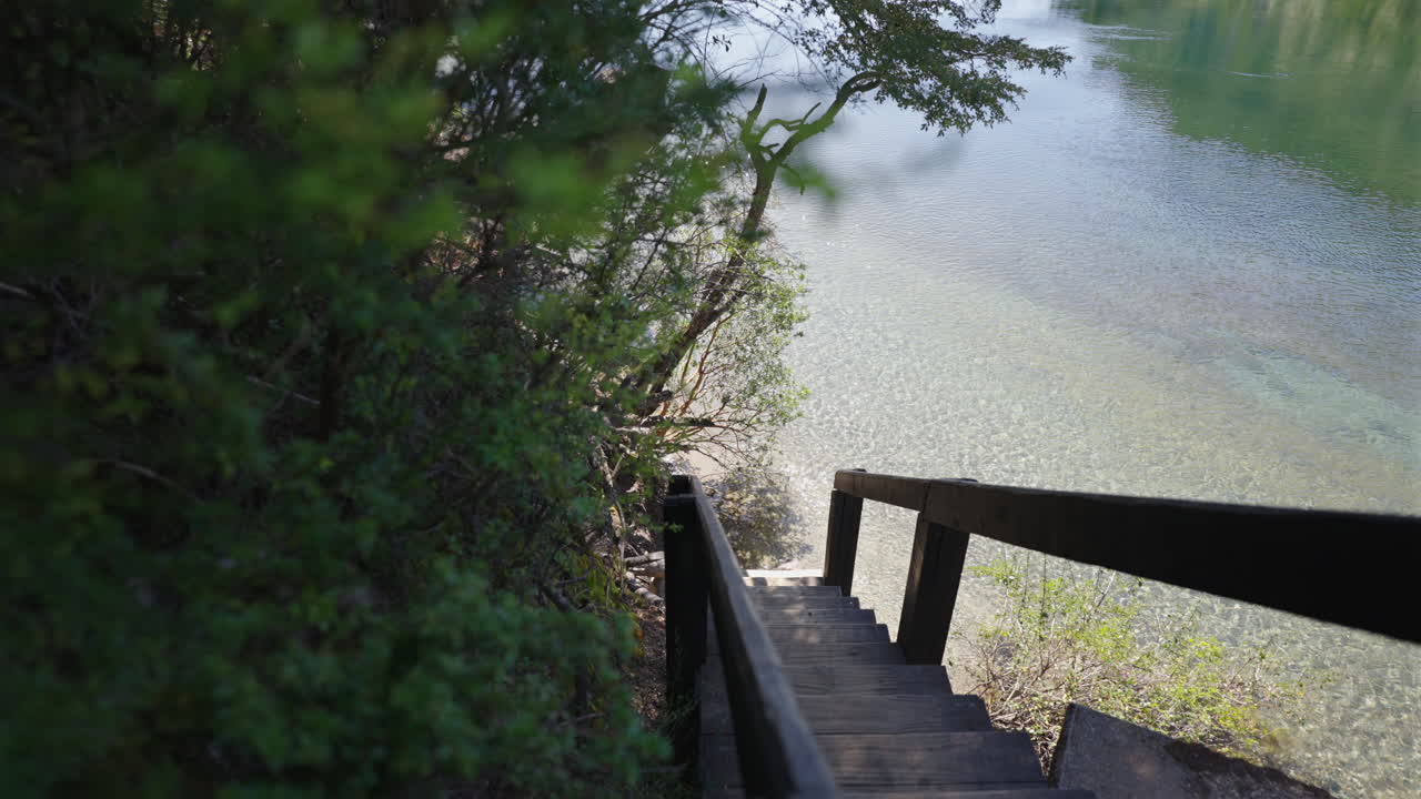 деревянная лестница, спускающаяся к прозрачным водам озера в национальном парке лос-алерсе, провинция чубут, аргентина, в окружении пышной растительности в солнечный день