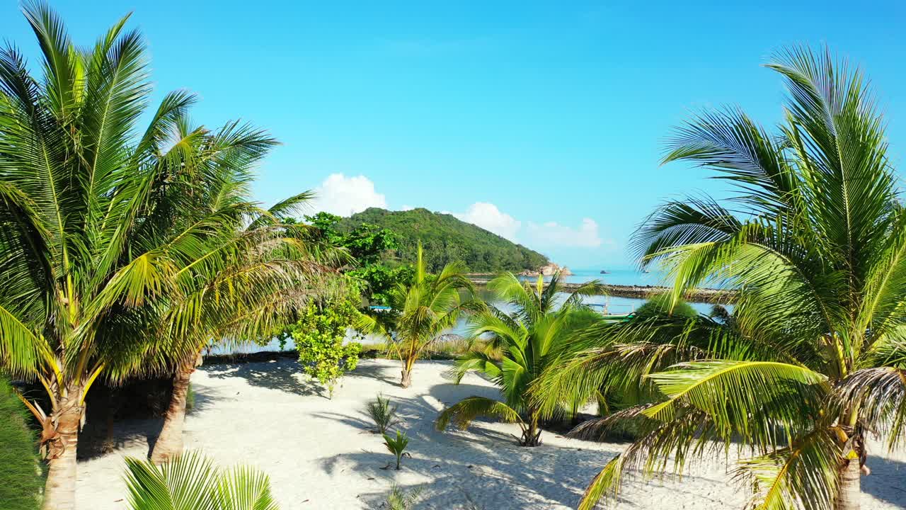 Beautiful garden with palms and tropical plants on white sandy beach near vacations resort and calm sea lagoon in Thailand