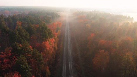 aerial view of railroad in colorful forest with red leaves at foggy sunrise in autumn. top view of rural railway station, trees in fog and gold sunbeams in fall. railroad in sunny morning from drone