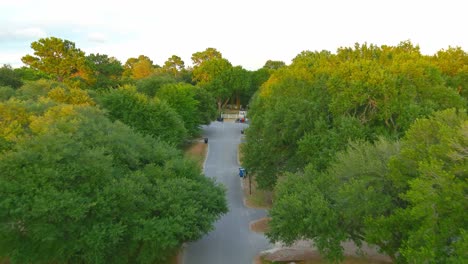 Fliegen-Zwischen-Bäumen-In-Einem-Ländlichen-Viertel-In-Texas-|-Luftaufnahme,-Flugaufnahme-|-Abendbeleuchtung