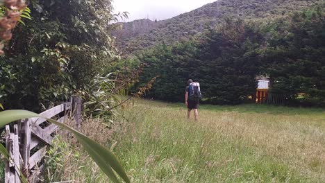 un excursionista alejándose de la cámara en la hierba en la pista de la reina charlotte en la isla sur de nueva zelanda