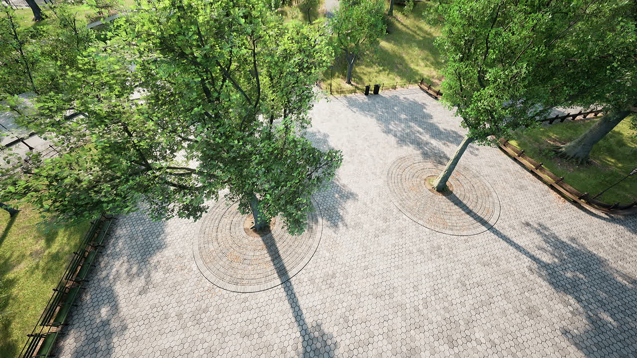 parque central de la ciudad en un día de verano