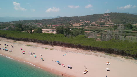 Mediterranean-Pine-Forest-Near-The-Beautiful-Beach-With-Crystal-Clear-Blue-Sea-And-Tourists-On-Vacation-In-Sardinia,-Italy---Aerial-drone,-pullback-shot