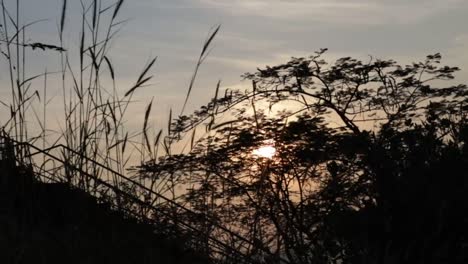 Hermosa-Naturaleza-Se-Ve-Desde-El-Templo-Narahari-Prvatha