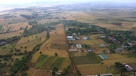 Luftaufnahme-Von-Häusern-Und-Ackerland,-Bewölkter-Tag-In-Kenia---Absteigender-Drohnenschuss