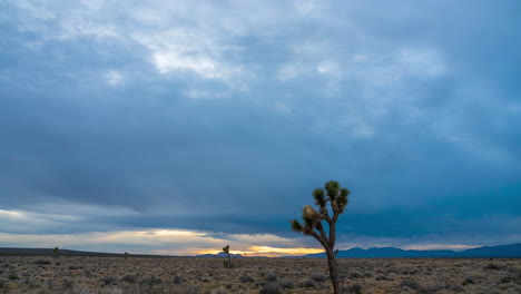 Vasto-Paisaje-Del-Desierto-De-Mojave-Al-Atardecer-Con-árboles-De-Joshua-Dispersos,-Timelapse