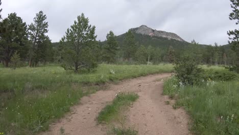 Driving-towards-mountain-in-national-forest-summer-2021