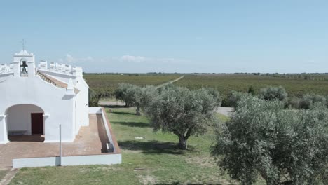 Monsaraz-grove-of-trees-next-to-a-white-church-building