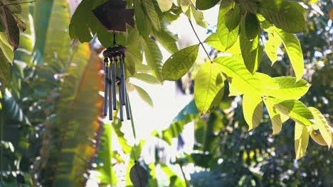 wind chimes hanging from a tree in the sunlight