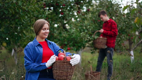 female farmer sitting in the garden holds a full basket of red apples. lady is smiling happily into camera. boy at backdrop collects fruit into basket.