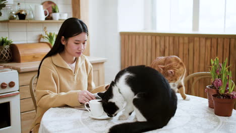 woman with cats in the kitchen table