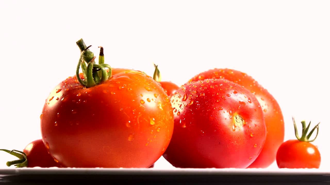 토마토 와 모차라 가 라투스 잎 에 회전, 루프