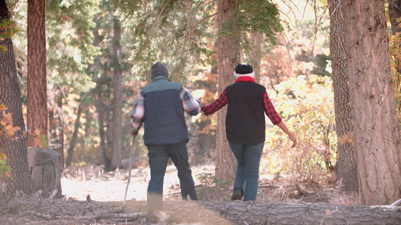 una pareja de ancianos negros caminando en un bosque, vista trasera