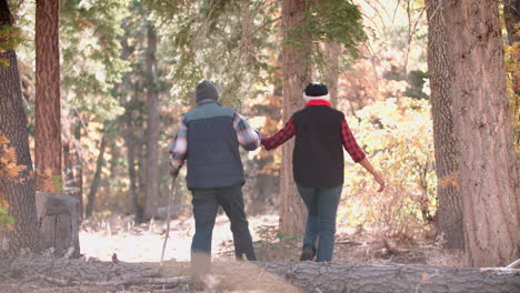 una pareja de ancianos negros caminando en un bosque, vista trasera