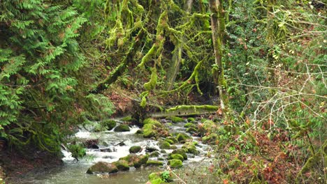 creek passes through small rocks and boulders in hidden falls nature part