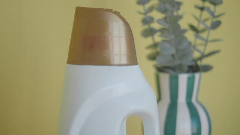 laundry detergent bottle and eucalyptus plant