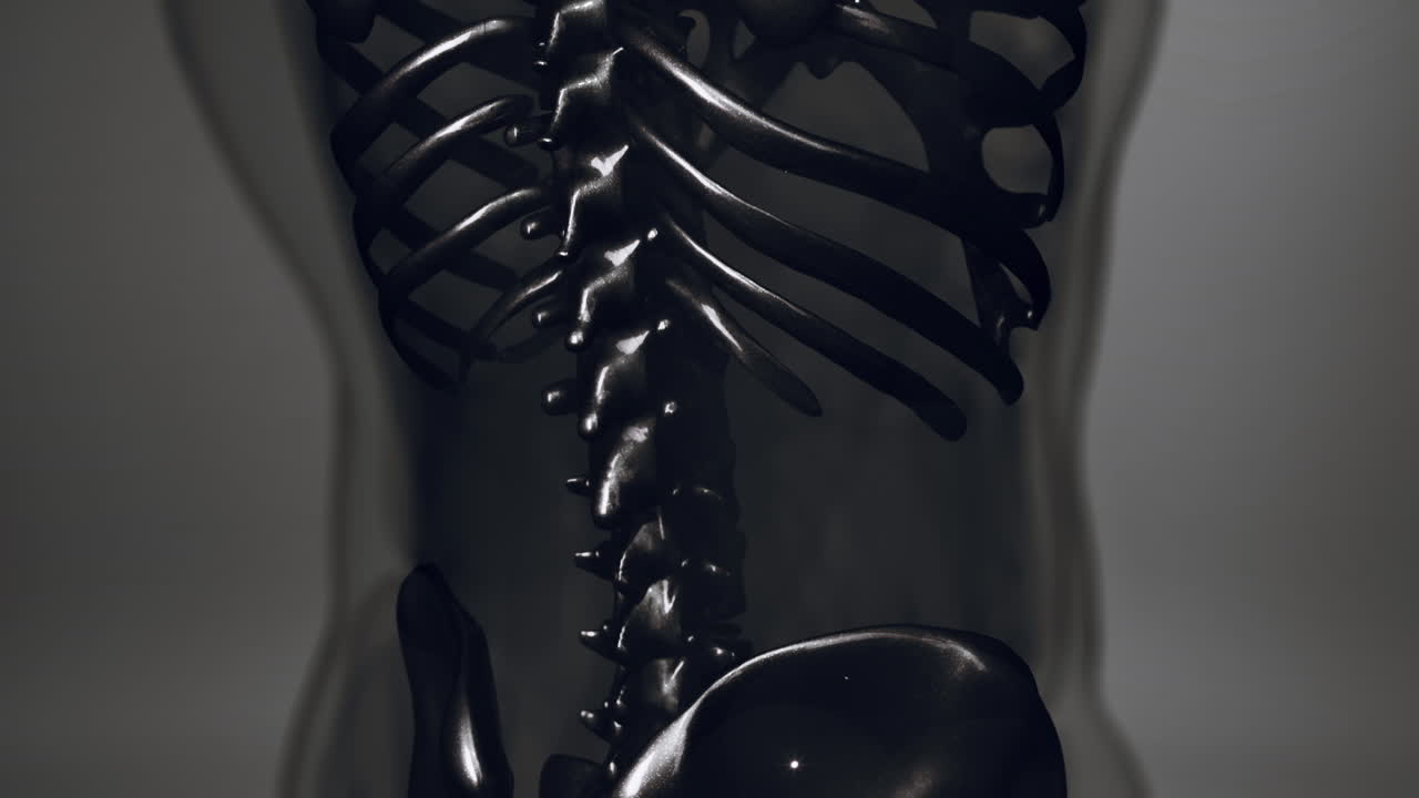 호만 골격 의 눈에 보이는  ⁇