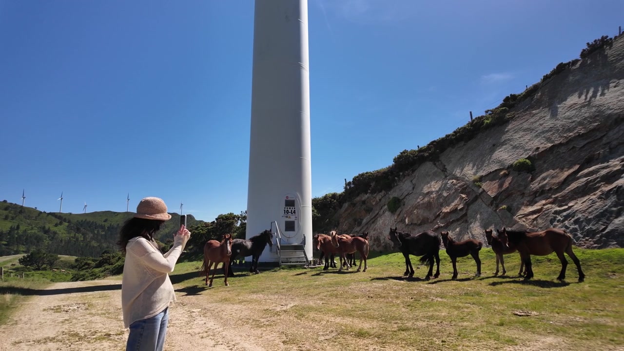 Mulher fotografando cavalos parados abaixo de uma alta turbina eólica nas colinas.