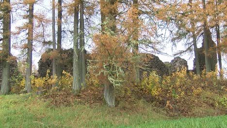 Burgruinen-Des-Livländischen-Ordens-In-Ergeme-Im-Herbst