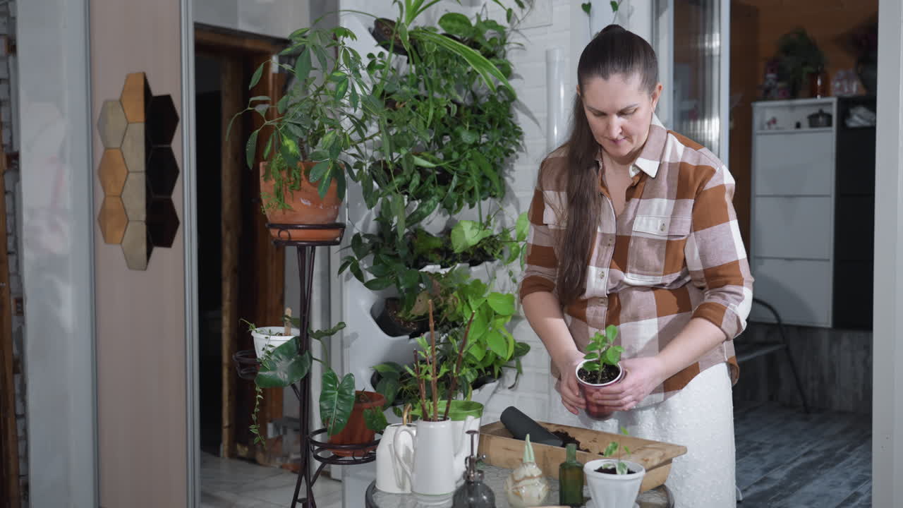 Plant mom picking up plastic planter, rolling pot to settle soil, pressing side with focused concentration while surrounded by potted greenery on indoor table, showcasing gardening ritual at home