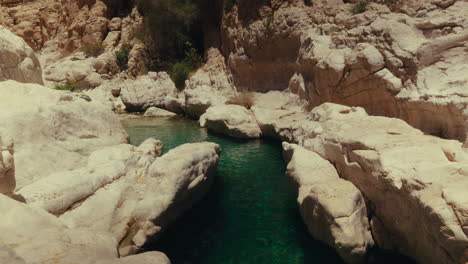 emerald green wadi in the middle east
