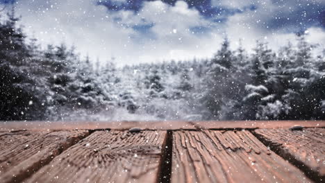 wooden deck and snowy trees