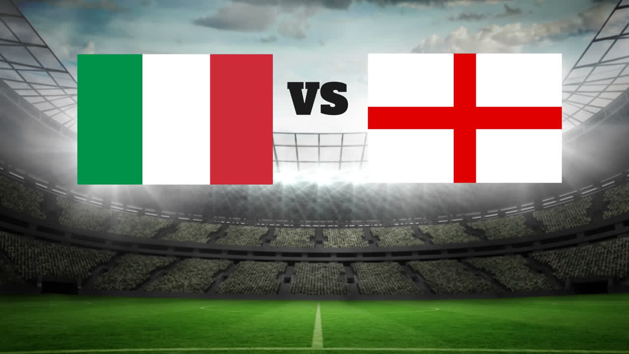 전체 경기장 비디오