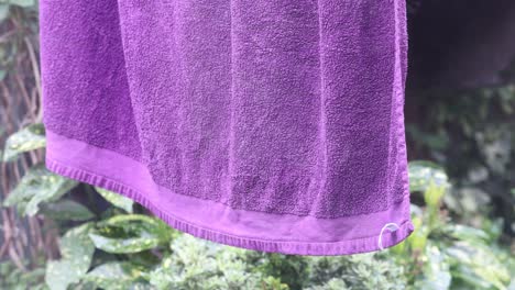 purple-towel-blowing-in-the-wind,-half-speed-slow-motion