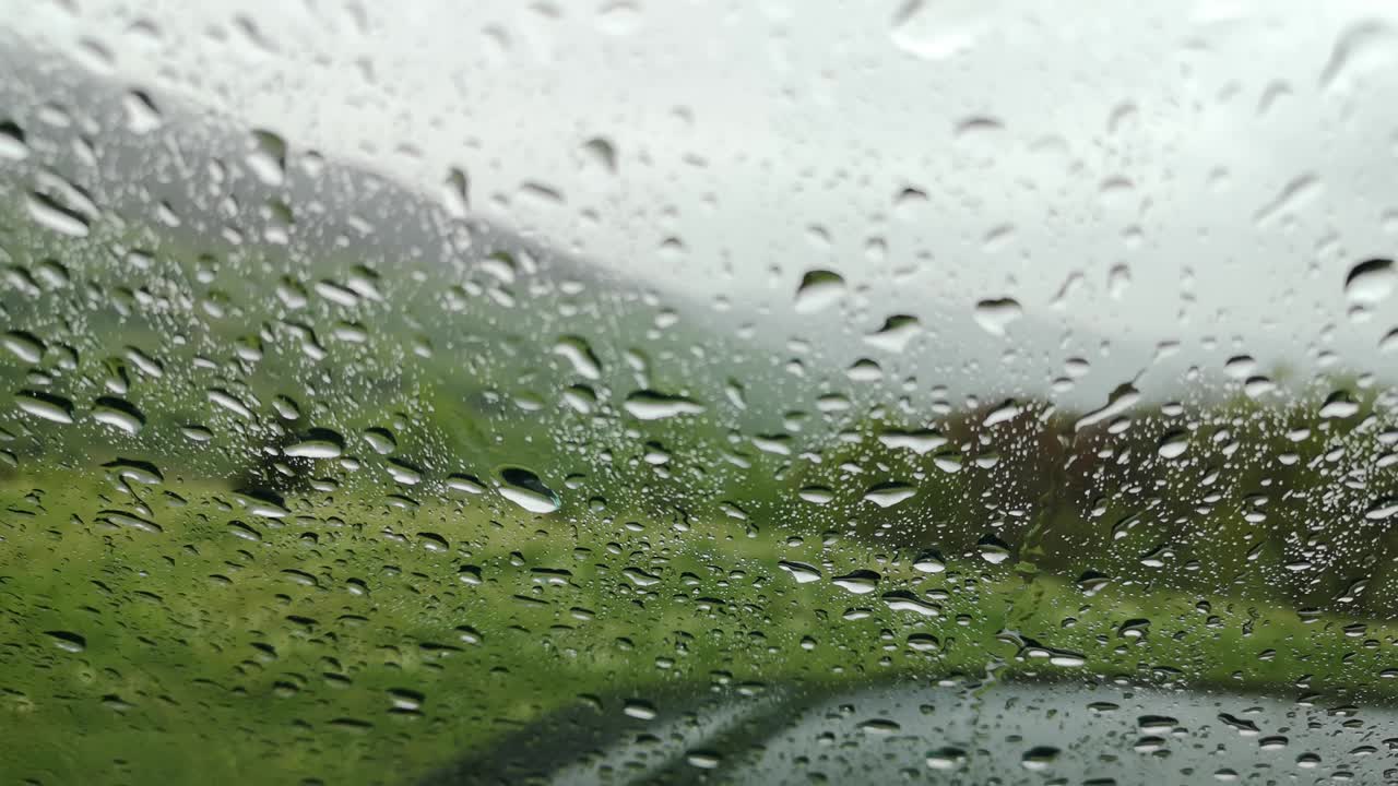 스프링 레인 (spring rain) 은 suv의 유리창을 통해