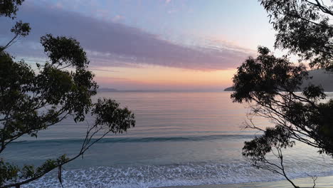 witness the breathtaking sunrise illuminating bruny island's coastline as gentle waves lap at the shore, framed by lush trees creating a serene atmosphere.
