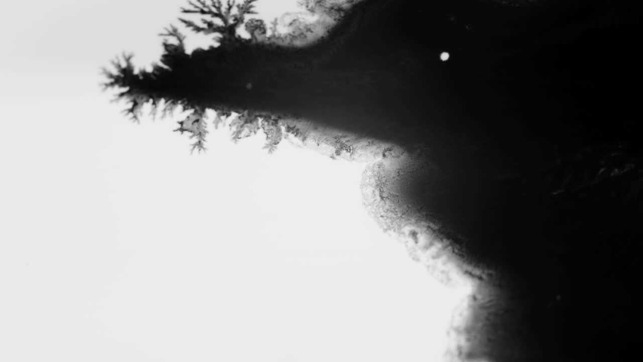 Fractal Art Abstract - Blank Ink Spreading On White Surface