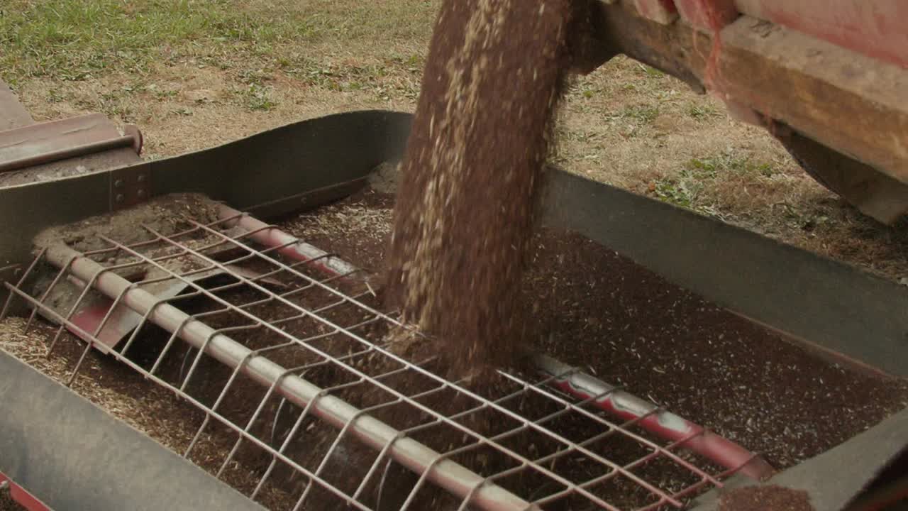 Trasferimento di canola da un camion in un contenitore con una coclea al rallentatore