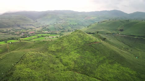 Vuelo-Rápido-A-Través-De-Tierras-Agrícolas-Con-Campos-De-Plantación-De-Maíz-En-Crecimiento-Con-Fondo-Montañoso-En-La-Isla-De-Sumbawa,-Indonesia