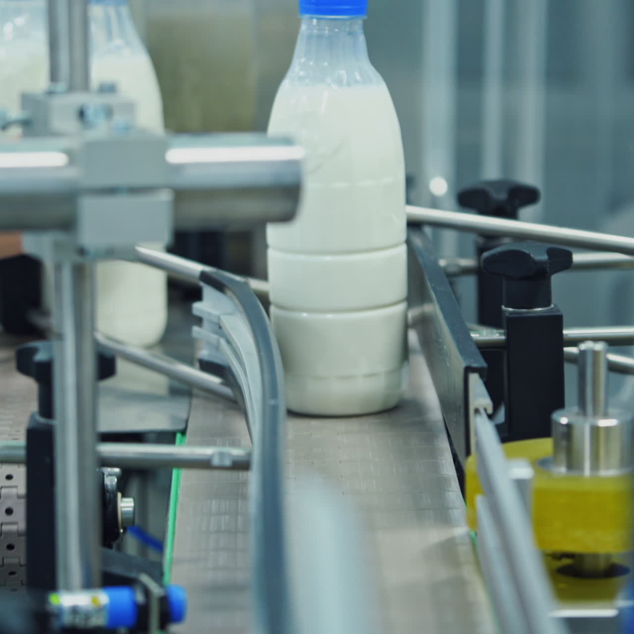 Bottles with milk moving on conveyor line. Packaging line at dairy factory. Food industry. Milk production plant.