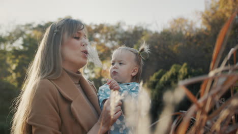 mom plays with her daughter - shows her the reeds in the park. have a good time outdoors on a clear autumn day