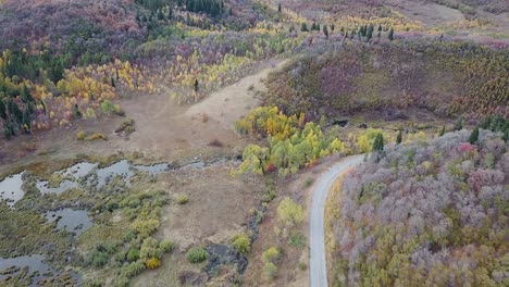 Bosque-Siempre-Verde-Y-Dorado-De-álamos-Al-Lado-De-Una-Carretera-Principal-Y-Tierra-Pantanosa-En-La-Cuenca-De-Nieve-Utah---Inclinación-De-Retroceso-Aéreo