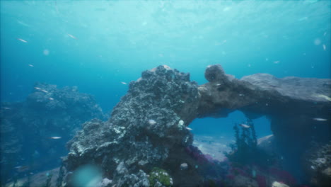 underwater scene with coral reef and fish