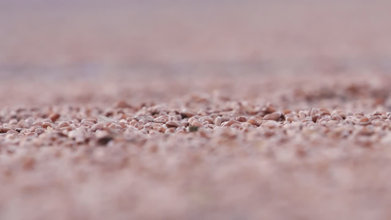 Person slowly spreads smooth pebbles by hand in quiet, meditative setting