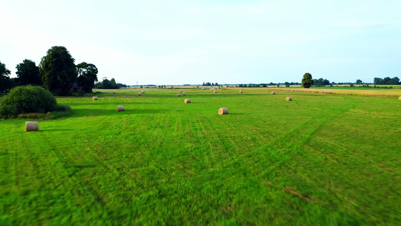 Rotoballe di fieno su un campo verde in estate in Lituania