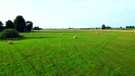 Pacas-Redondas-De-Heno-En-El-Campo-Verde-Durante-El-Verano-En-Lituania