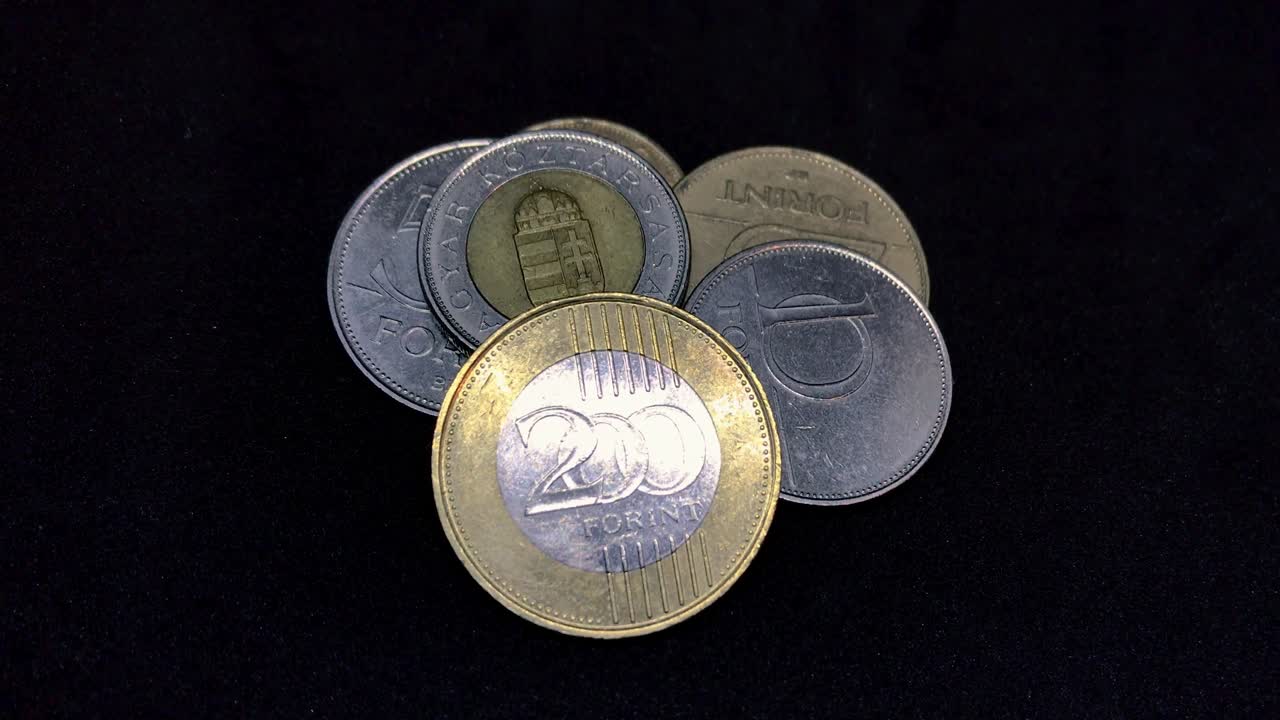 가리 포린트 동전 은 검은색 으로 변한다 - huf