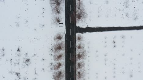 aerial top down forward of road and junction in metasequoia snowy park