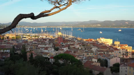 Flying-trough-pine-trees-discovering-Saint-Tropez-city-sunrise