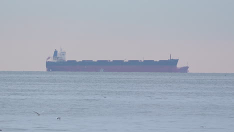 a huge cargo ship vessel is anchored at sea in calm waters and with seagulls flying by