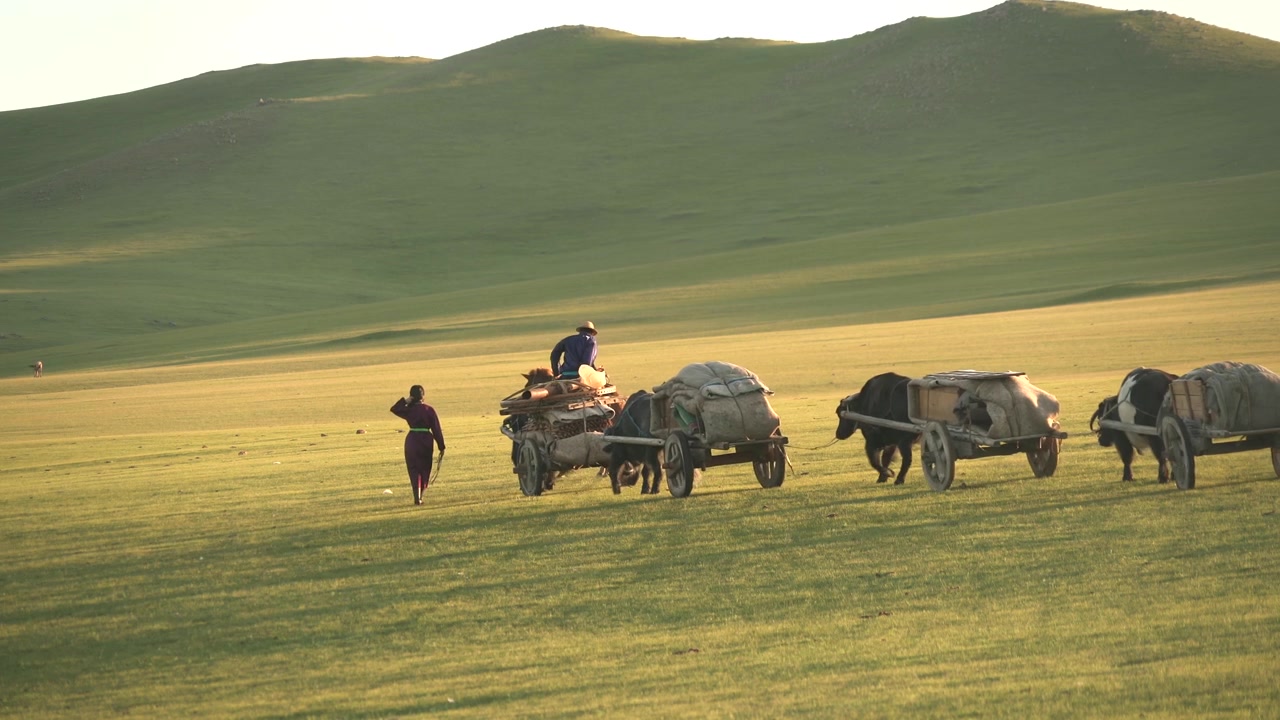 Nomadefamilie rejser med oksekærrer over den mongolske steppe